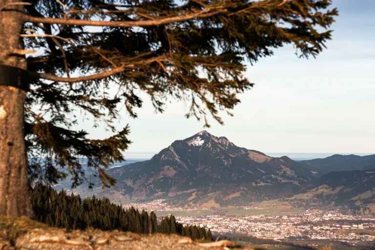 Blick durch Bäume auf die Berge im Allgäu