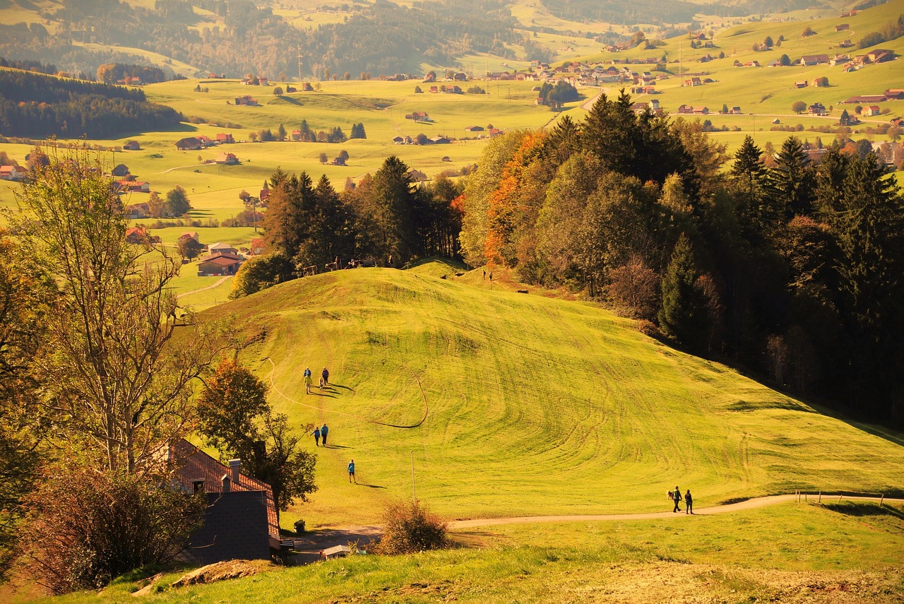 Herbstliche Landschaft im Schwarzwald