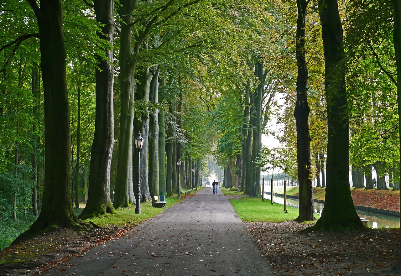 Allee im Schlosspark Nordkirchen im Herbst