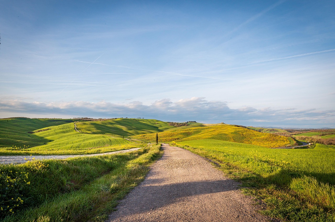 Grüne Hügel mit einem Feldweg in der Toskana
